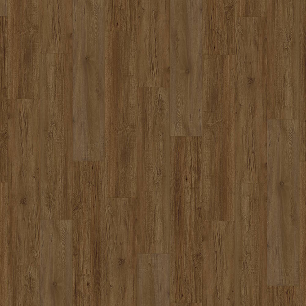 SLCC Project Plus — Cinnamon Oak