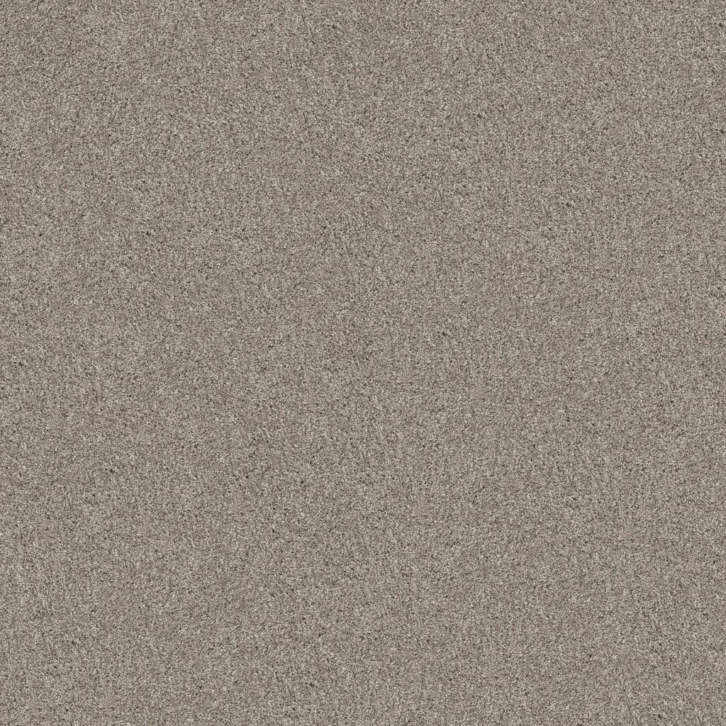 VAN-083 Shaw Yes You Can II carpet swatch