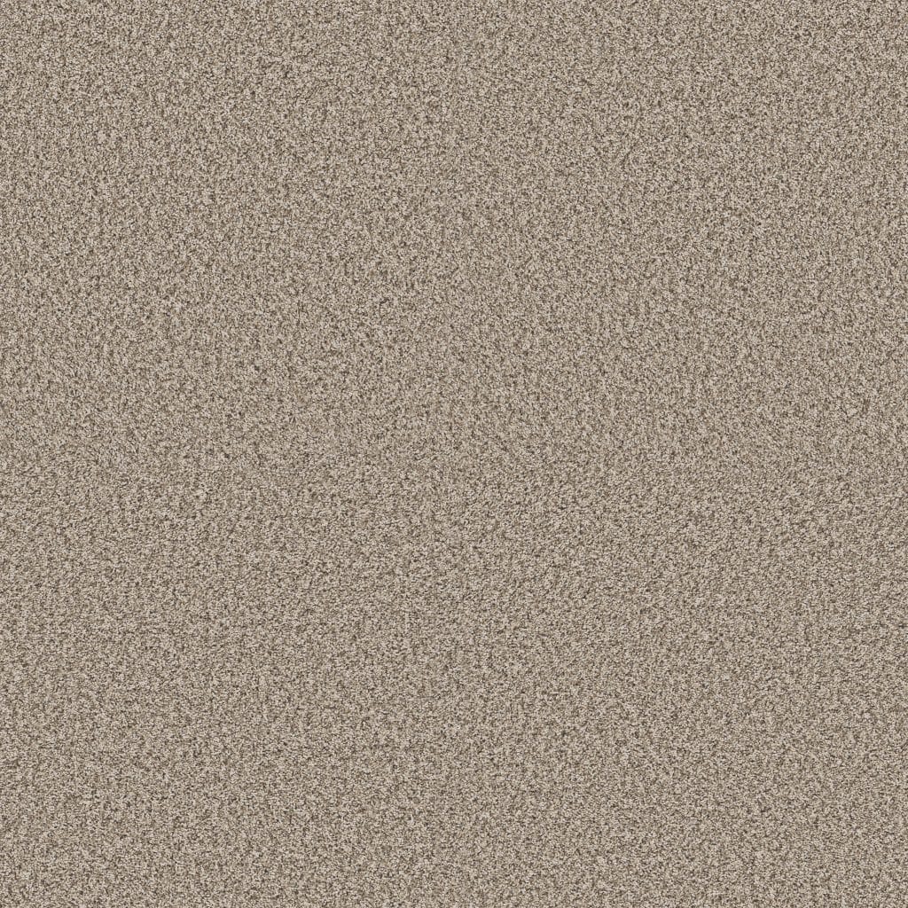VAN-084 Shaw Yes You Can I carpet swatch